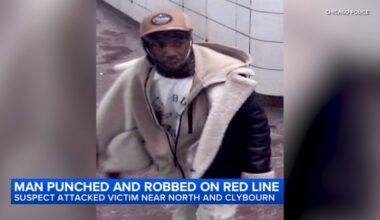 Chicago crime: Man punched during robbery on CTA Red Line near North/Clybourn station on North Side, Chicago police say