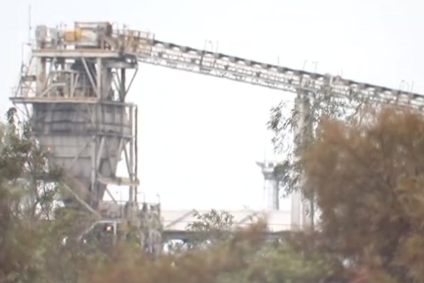 Mining equipment photographed from behind trees