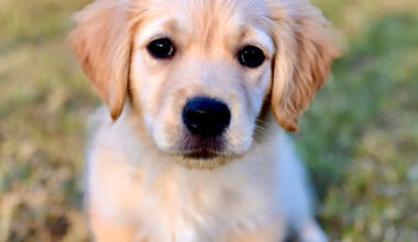 Yahoo lifestyle home