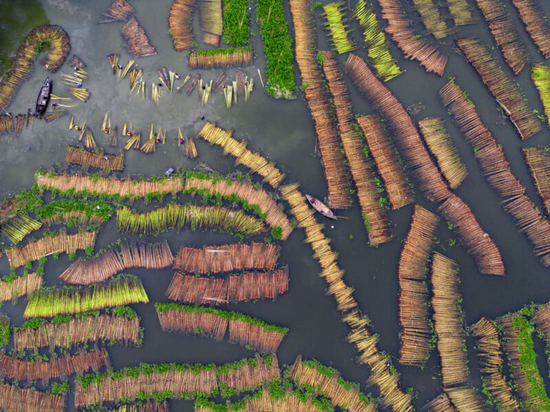 Aerial view of two boats navigating through a river filled with neatly arranged rows of floating logs and patches of green vegetation, creating a colorful, patterned landscape.