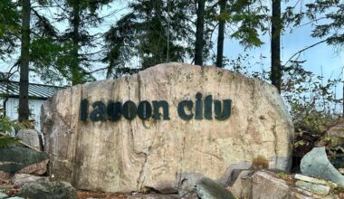 Invasive species kept Ramara crews busy in Lagoon City