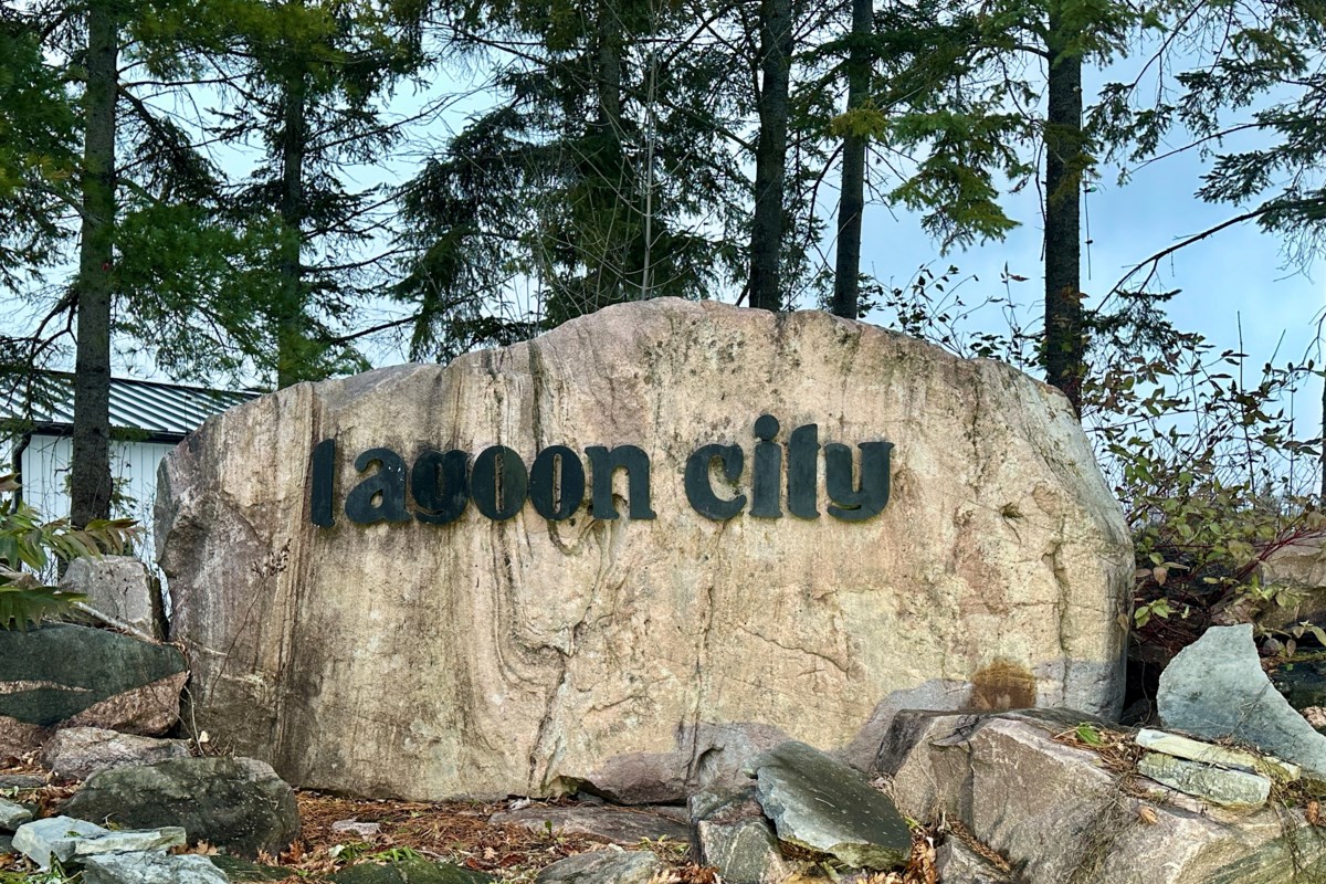 Invasive species kept Ramara crews busy in Lagoon City