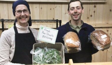 Local farm delivers organic goods to Sault customers