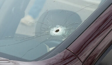 Fatal shooting of Renee Nicole Good, by a U.S. immigration agent, in Minneapolis