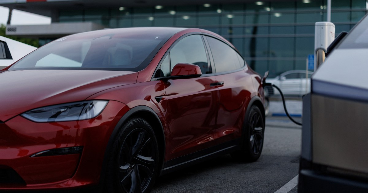 Elon Musk’s Tesla reports first-ever annual decline in revenue | Elon Musk