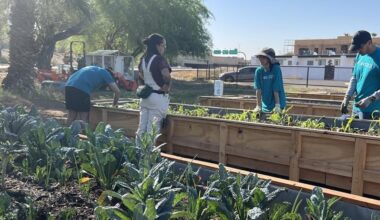 Residents tend to a community garden in Phoenix.