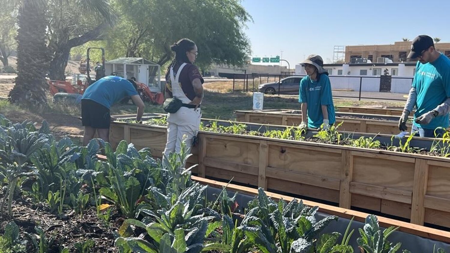 Residents tend to a community garden in Phoenix.