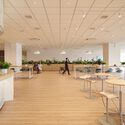 TOYOTA Research and Development Center / Nikken Sekkei - Interior Photography, Wood, Lighting, Chair