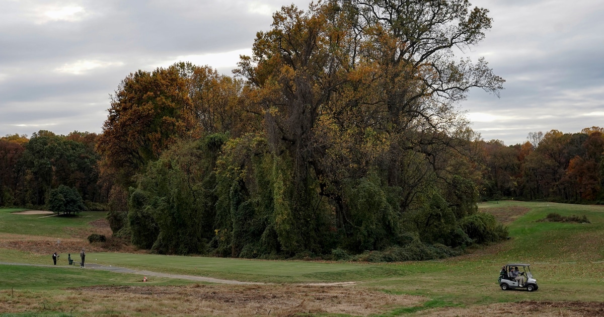 Trump administration terminates lease for Washington's public golf courses