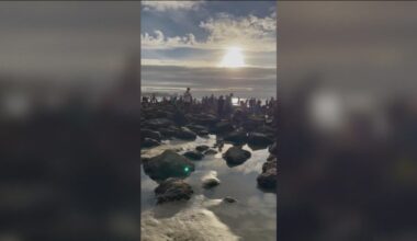 Tide pool crowds spark concerns over marine life protection in San Diego