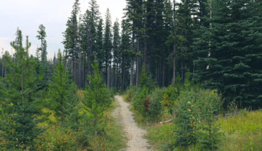 Yahoo lifestyle home