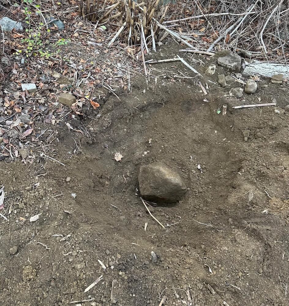 One Redditor shared their fight against an invasive knotweed plant, posting three photos of themselves digging it out.