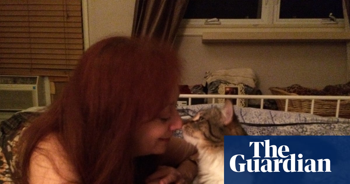 She spent 366 days searching for her cats after losing them in the LA fires: ‘I promised my babies’ | Los Angeles