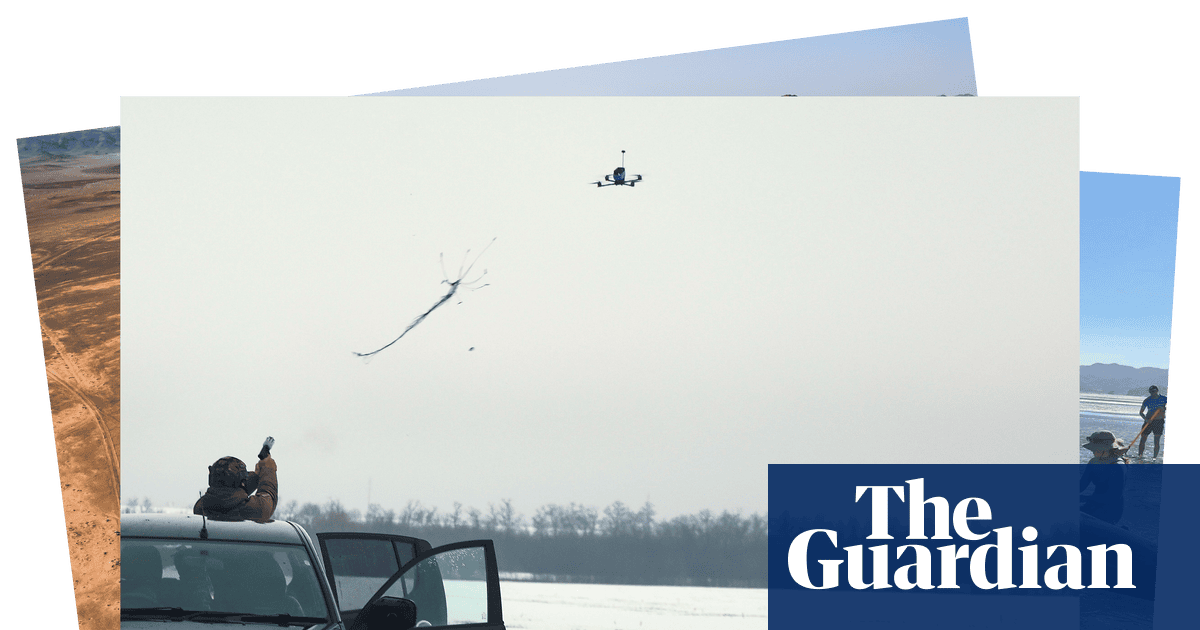 Stranded whales and an anti-drone gun: photos of the day - Thursday - The Guardian