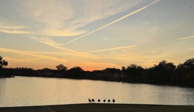 The lines above Houston