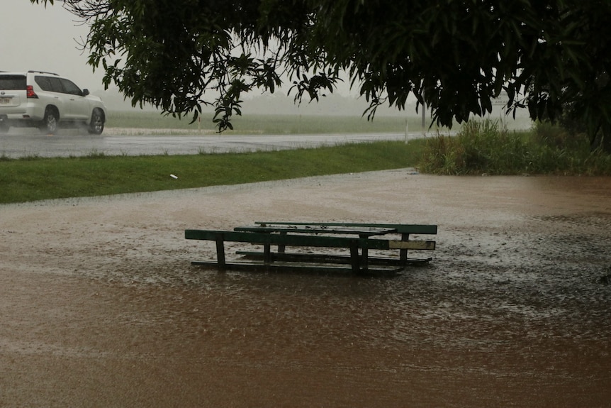 A park bench is pictured nearly underwater, shaded by trees.