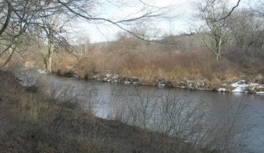 CT develops management plan for large state forest