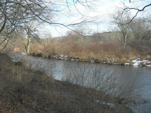 CT develops management plan for large state forest