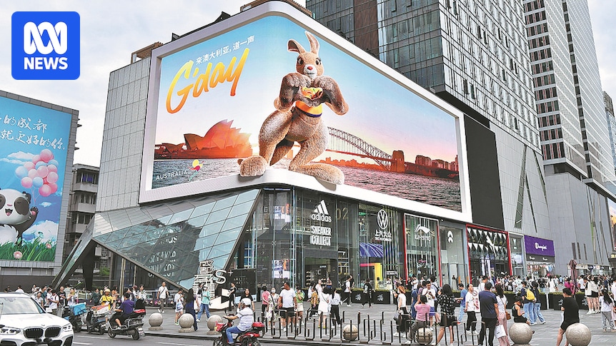 Australia warned recovering Chinese tourism market may cool in 2026