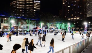 people ice skating on a rink