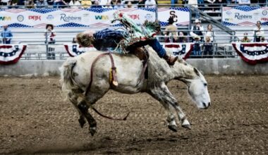The Humble Rodeo is taking place from Feb. 6-7 this year. (Courtesy Humble Rodeo)
