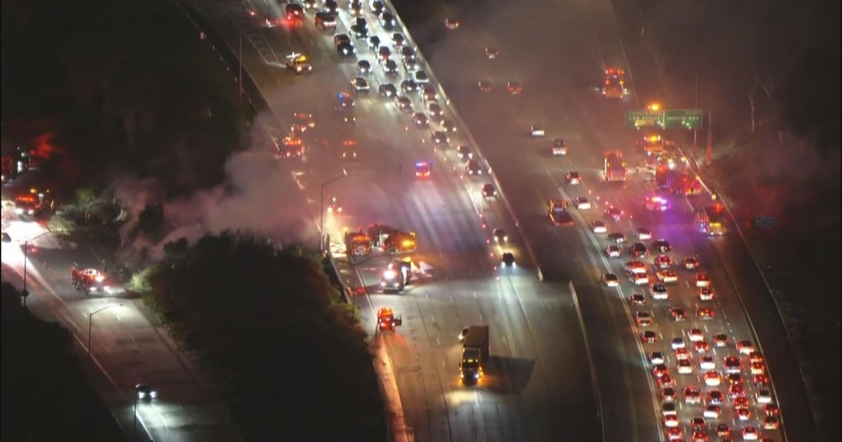 Grass fire closes 405 Freeway near LAX