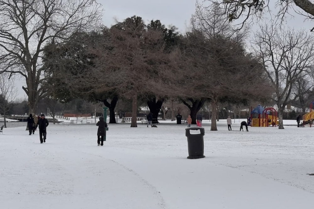people explore a frozen over park in the early afternoon