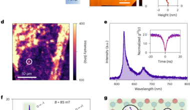 Narrowband quantum emitters in hexagonal boron nitride with optically addressable spins
