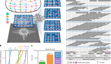 Demonstration of low-overhead quantum error correction codes