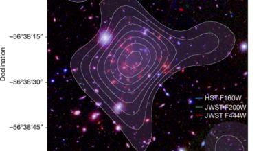 Sunyaev–Zeldovich detection of hot intracluster gas at redshift 4.3