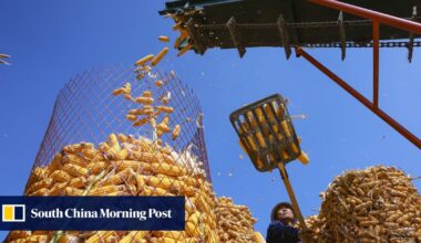 Chinese scientists turn carbon dioxide to starch with 10-fold productivity boost