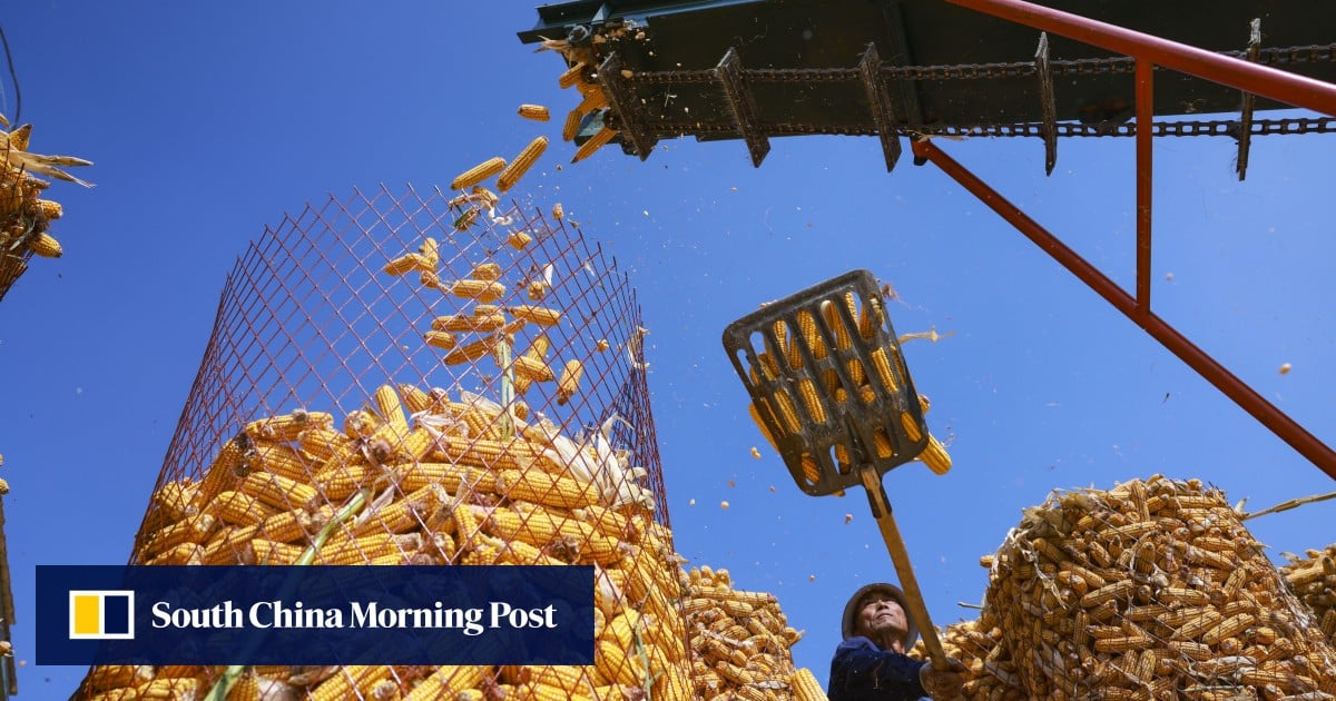 Chinese scientists turn carbon dioxide to starch with 10-fold productivity boost