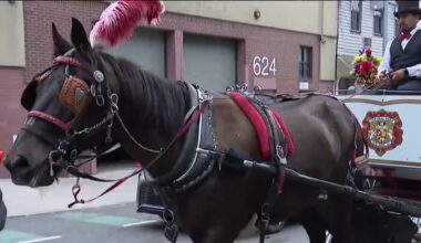 Runaway Central Park carriage horse seen racing into NYC traffic – NBC New York