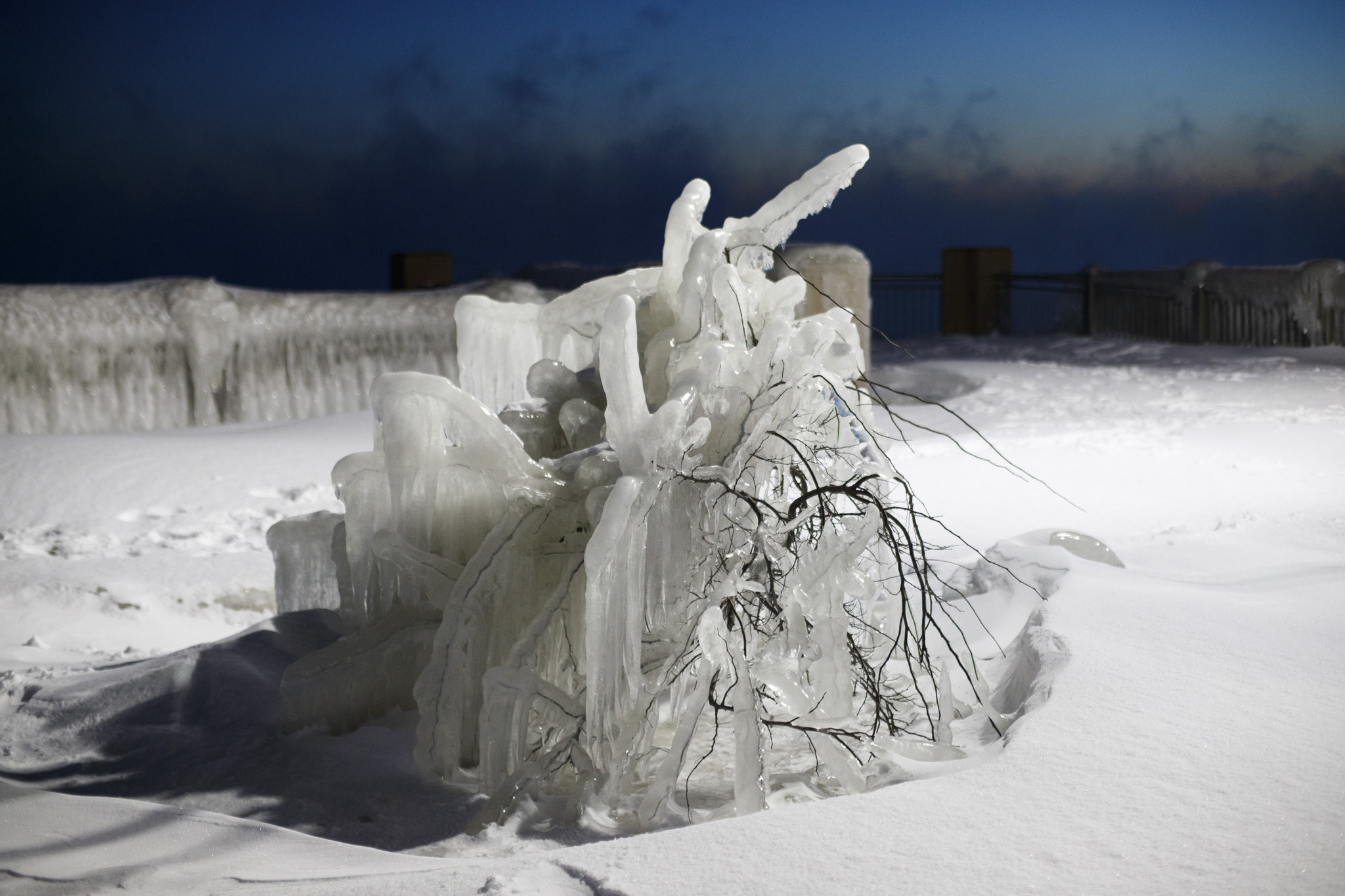 Icicles form around several bushes at Whiting Lakefront ParkÂ during sunriseÂ Jan....