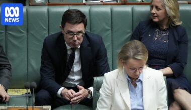 Federal politics live: Littleproud pushes back on reports he 'rebuffed' meeting with Ley