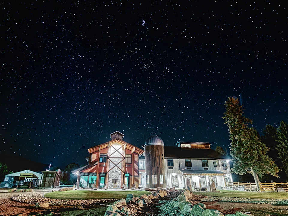A brightly lit building with a tower, a tree to the right, underneath a starry sky