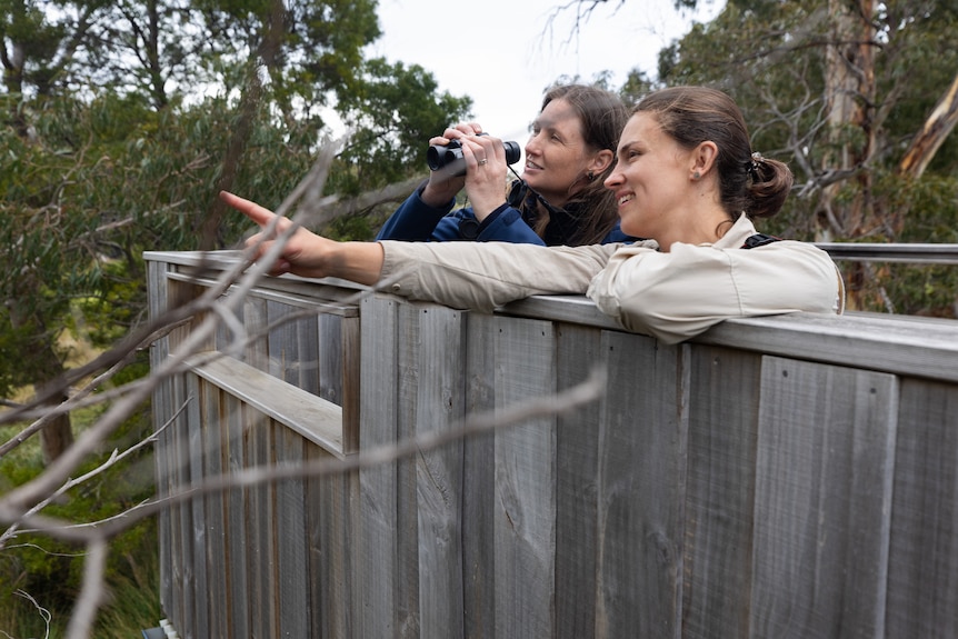 Two women in a bird hide looking out for birds.