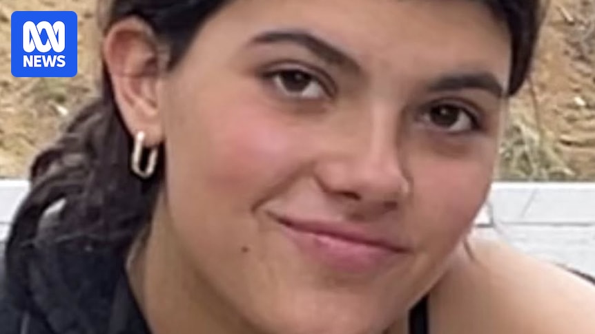 K'gari traditional owners raise issues with dingo management after teen's death