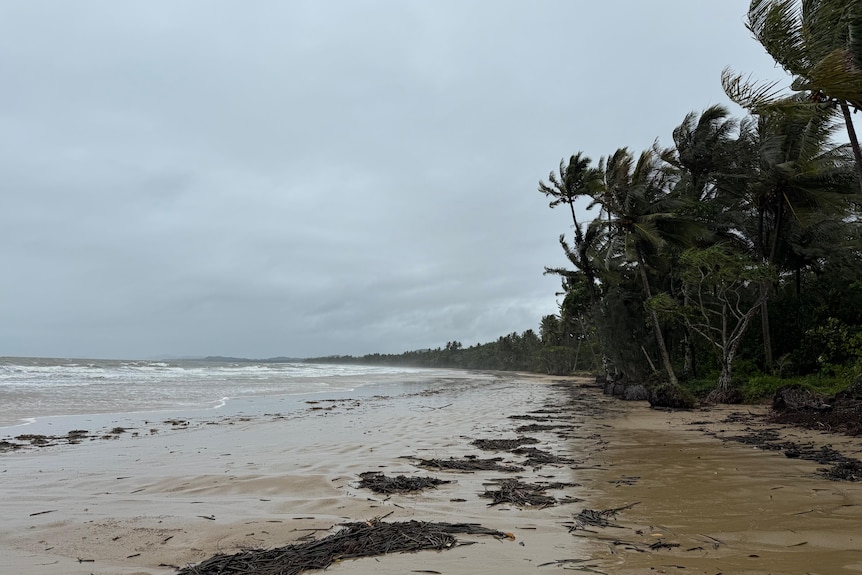 Stormy tropical beach