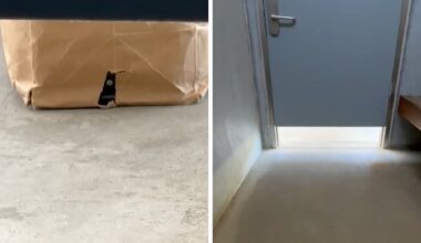 Man charged after allegedly filming woman in Kingston public toilet