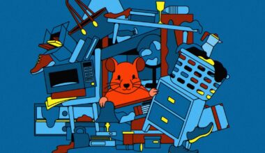 What Do I Do About My Neighbor Who Hoards?