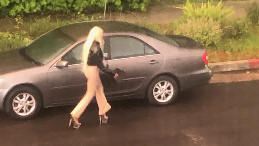 Larchmont prostitution