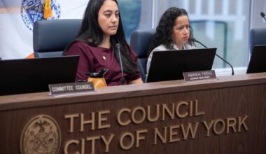 Leaving New York City’s economy stronger, more resilient and more inclusive – Bronx Times