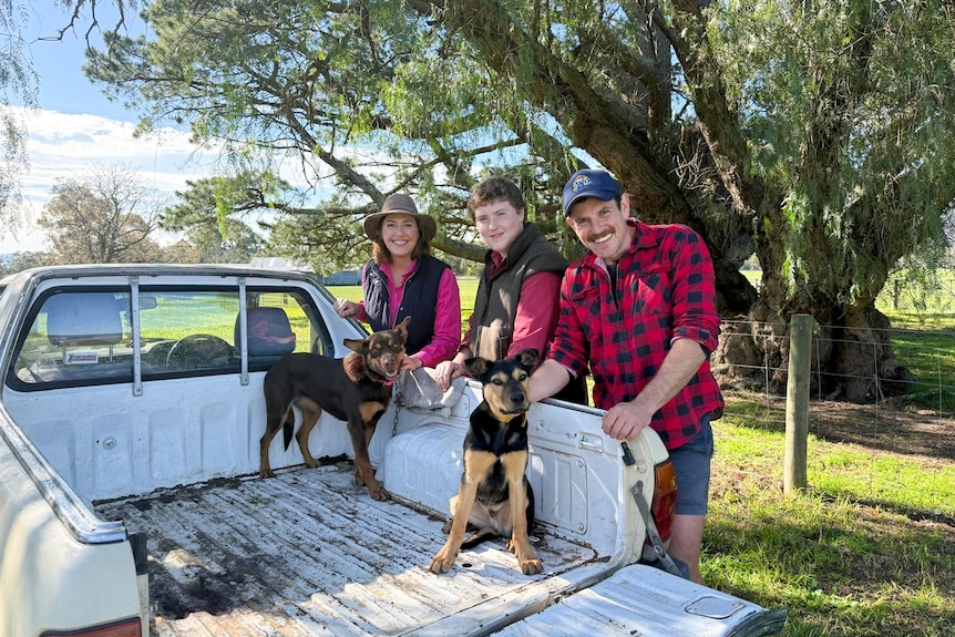 Lisa Millar stands with a boy and man with two Kelpie dogs in the ute tray in front of them.