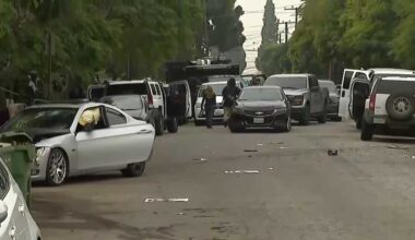 Federal agent fires shots after chase near Los Angeles, DHS says