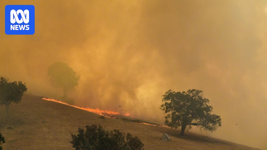 Firefighters continue to battle bushfires across Victoria as towns remain on edge