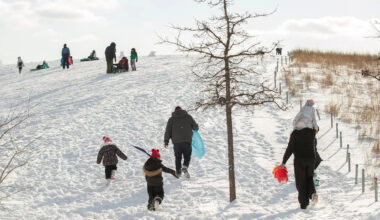 Yahoo lifestyle home