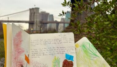 Nature Journaling: Winter Phenology at Brooklyn Bridge Park Environmental Education Center