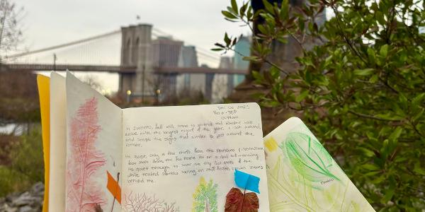 Nature Journaling: Winter Phenology at Brooklyn Bridge Park Environmental Education Center
