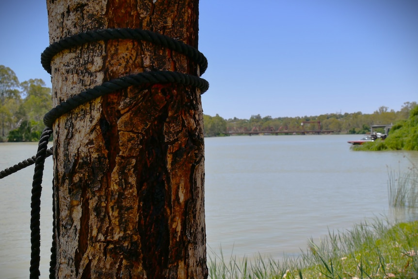 a wooden post with black rope around it with a red bridge in background
